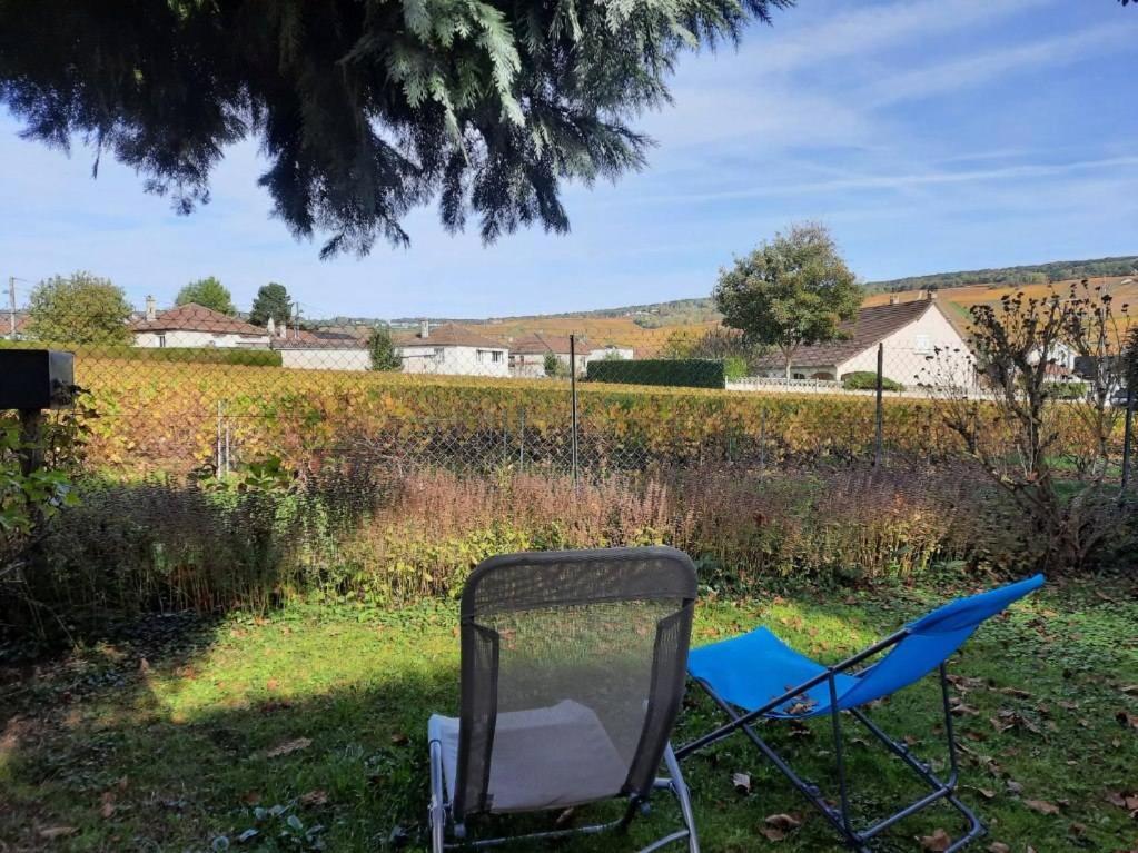 Gite Independant Diz'Enreves Au Coeur Des Vignes Dizy Exterior foto